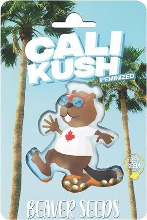 Cali Kush (Fem) 5 Seeds