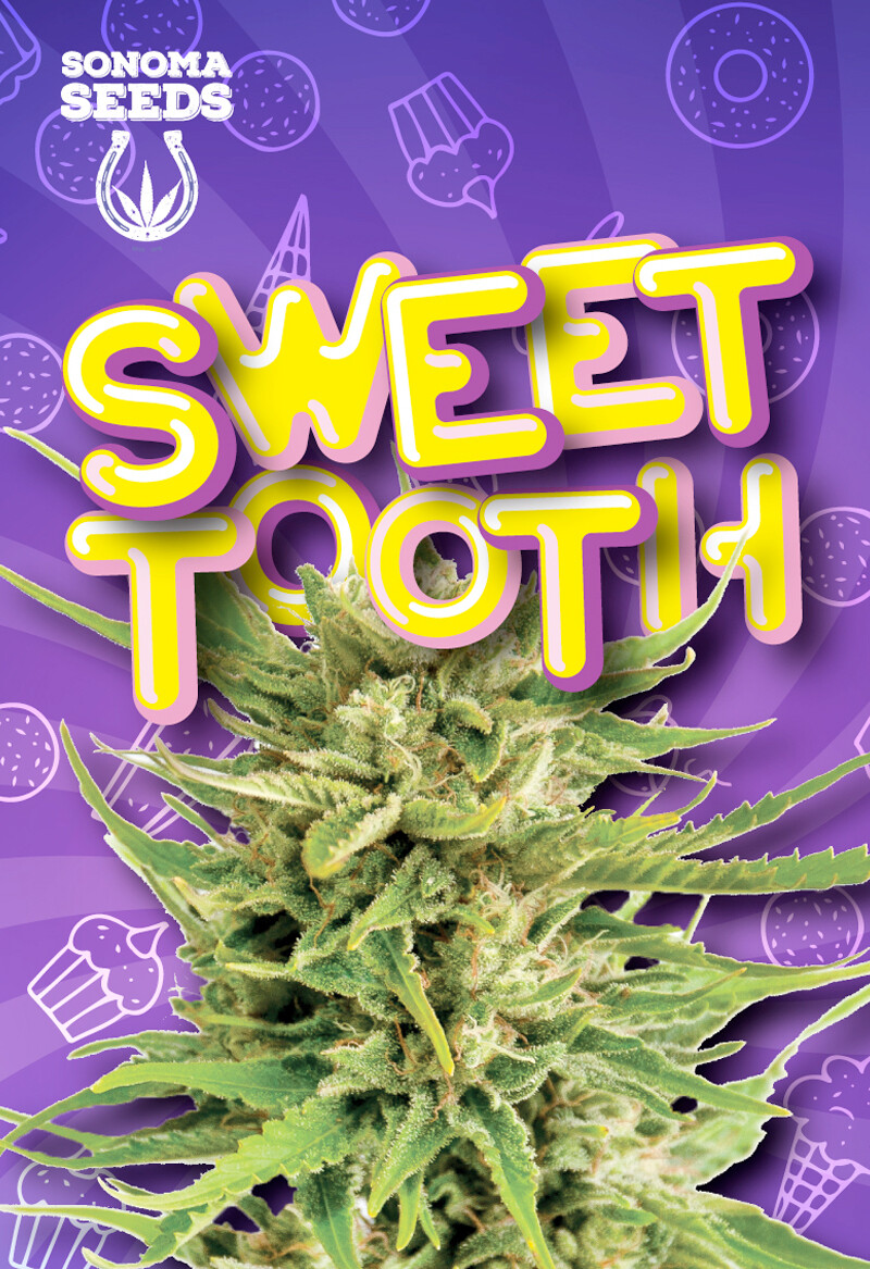 Sweet Tooth ( Fem ) 5 Seeds