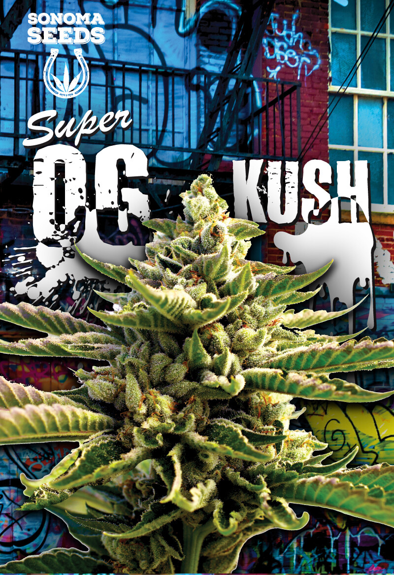 Super OG Kush ( Fem ) 5 Seeds