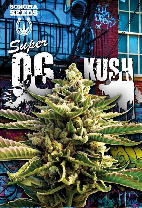 Super OG Kush ( Fem ) 5 Seeds