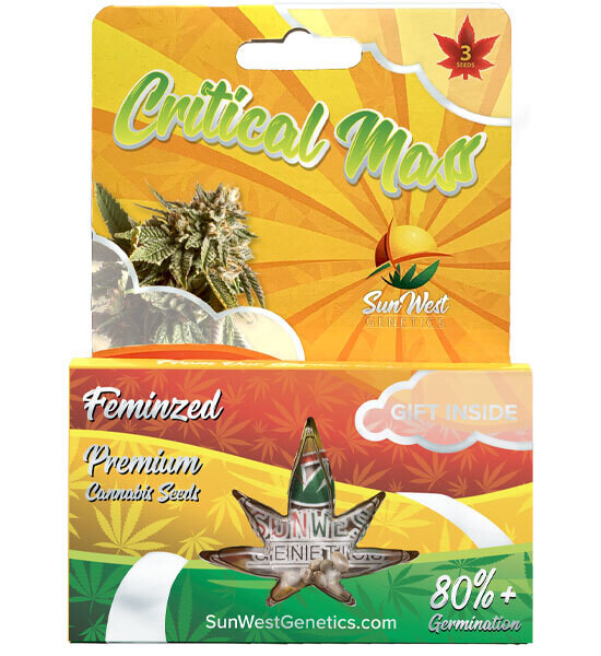 Critical Mass ( Fem ) 5 Seeds