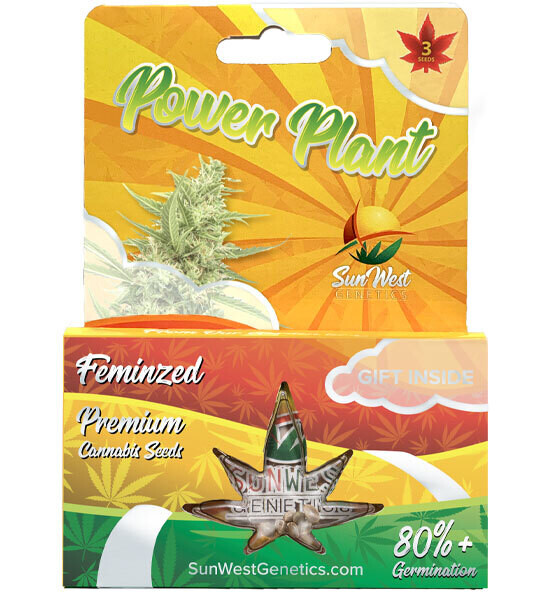 Powerplant ( Fem ) 5 Seeds