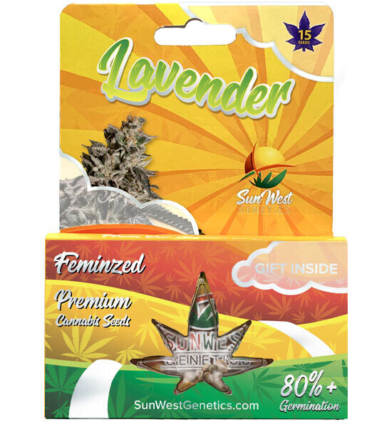 Lavender ( Fem ) 5 Seeds