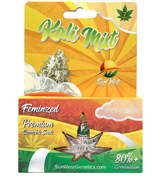 Kali Mist ( Fem ) 5 Seeds