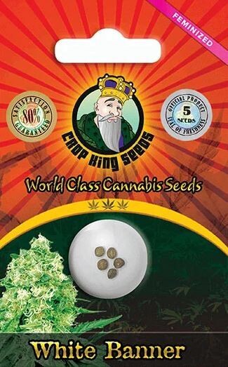 WHITE BANNER (Fem) 5 Seeds