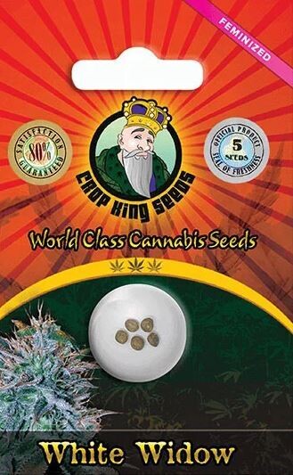 WHITE WIDOW (Fem) 5 Seeds