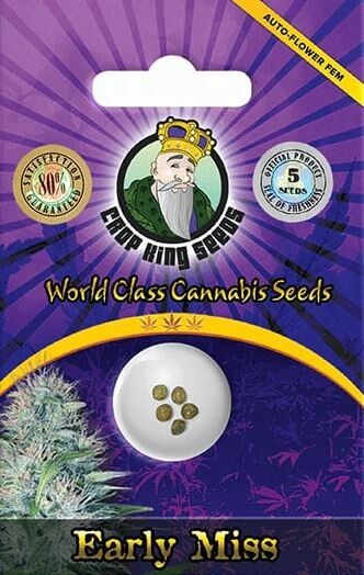EARLY MISS (Fem, Auto) 5 Seeds