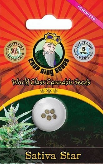 SATIVA STAR (Fem) 5 Seeds