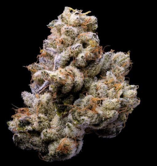 ORANGE CAKE (Fem) 3 Seeds