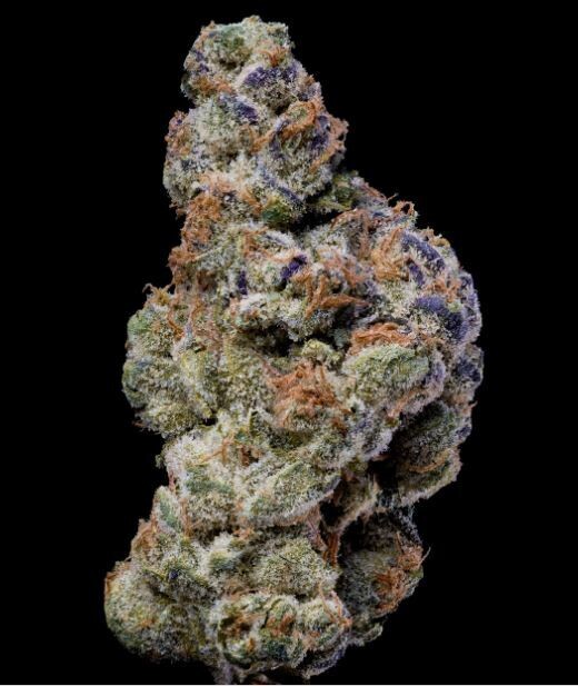 WHITE COCONUT PIE (Fem) 3 Seeds