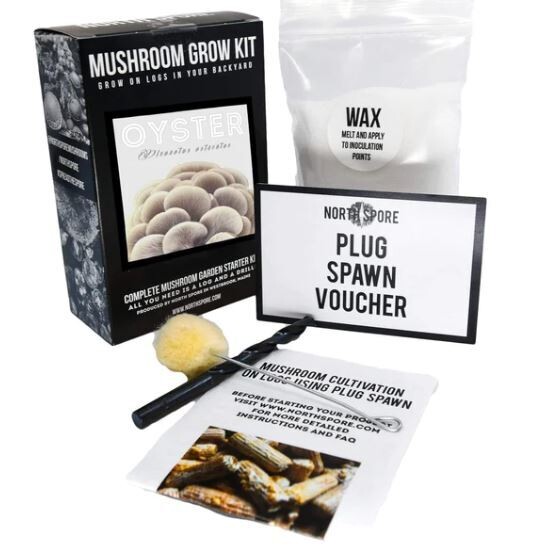 Organic Blue Oyster Mushroom Outdoor Log Growing Kit