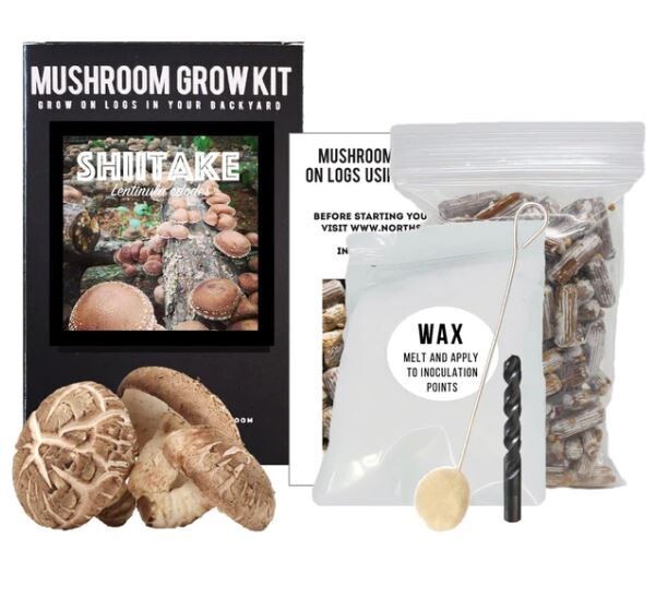 Organic Shiitake Mushroom Outdoor Log Kit