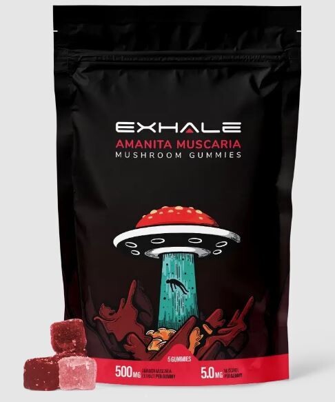 AMANITA MUSHROOM GUMMIES 500MG
