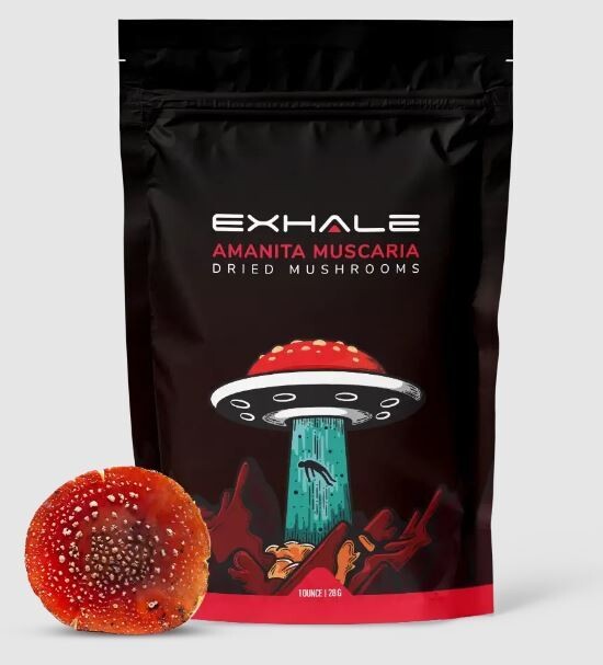 DRIED AMANITA MUSCARIA 28g