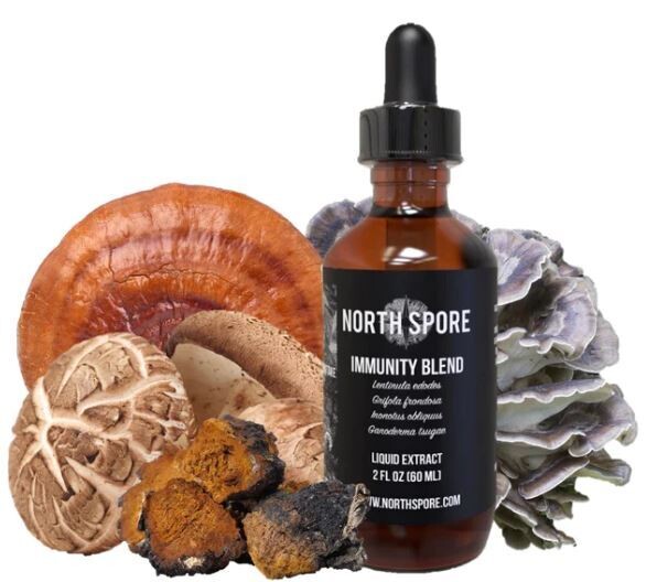 Immunity Mushroom Blend Tincture
2 oz
