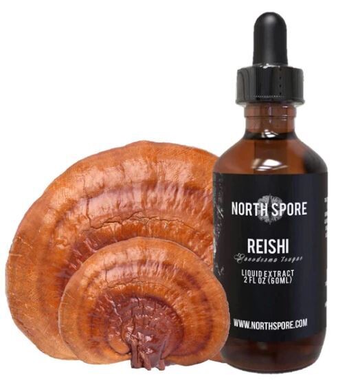 Reishi Mushroom Tincture 2 oz