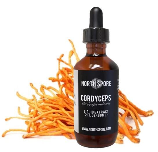Cordyceps Mushroom Tincture 2oz