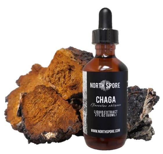 Chaga Mushroom Tincture 2 oz