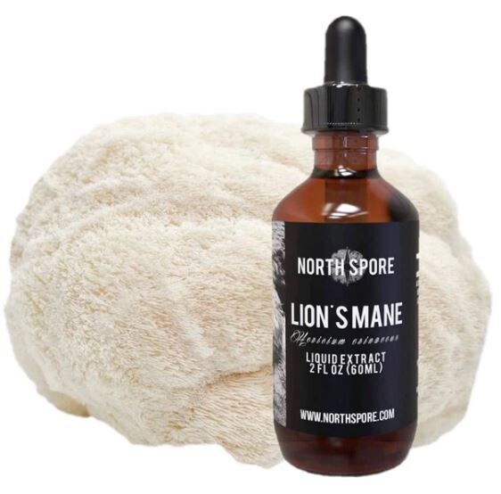 Lion&#39;s Mane Mushroom Tincture
2 oz