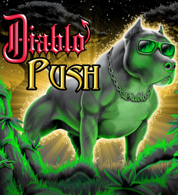 Diablo Push Featured Specialty Oil Production 500ml