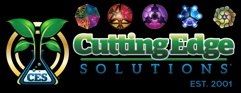 Cutting Edge Solutions