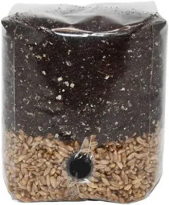 All-In-One Grow Bags