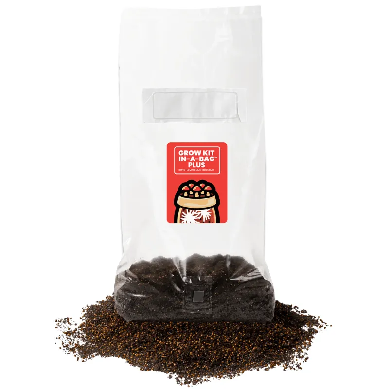 Mushroom Grow Kit All In-a-Bag™ PLUS 5lb