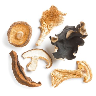 Dried Wild Mushrooms