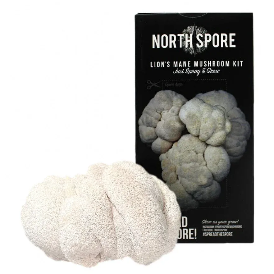 Lion&#39;s Mane Spray &amp; Grow Kit 4lb