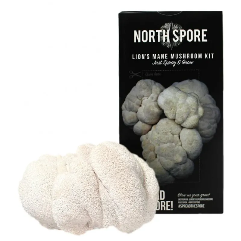 Lion&#39;s Mane Spray &amp; Grow Kit 4lb