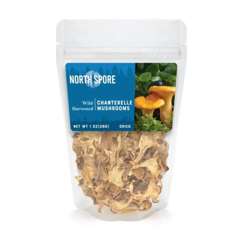 Chanterelle - 28 grams