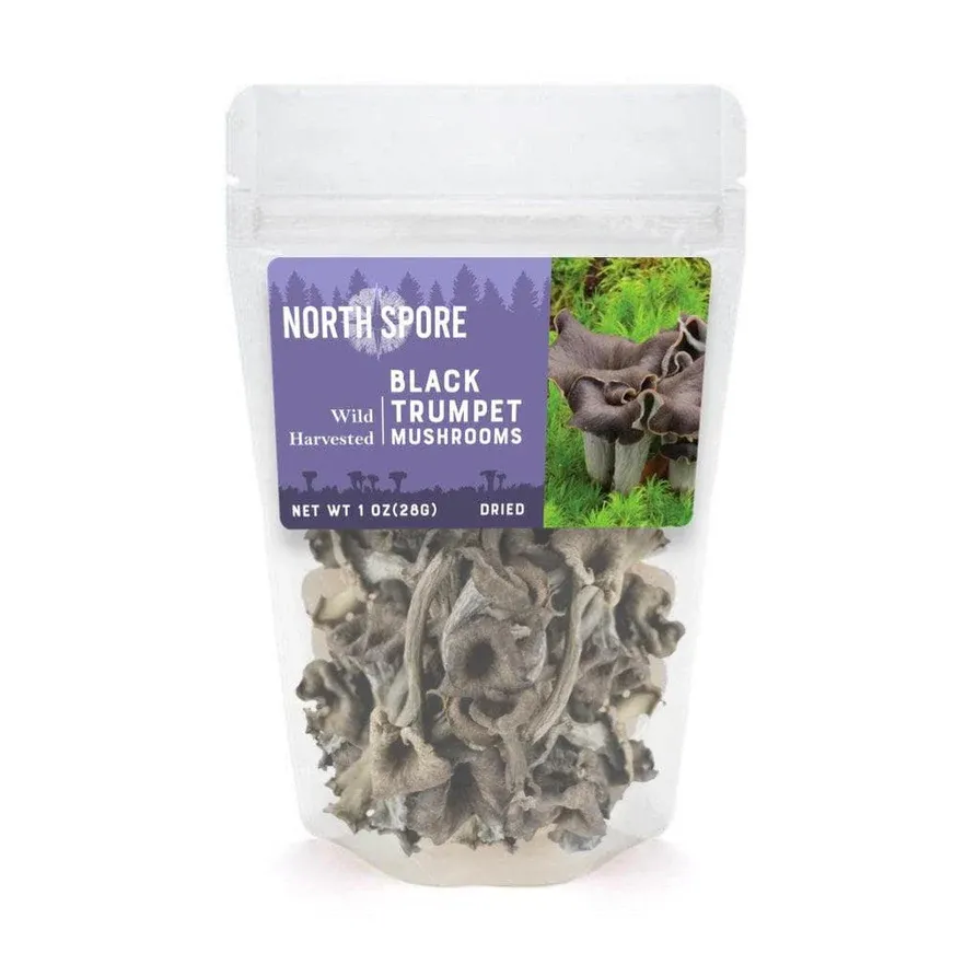 Black Trumpet - 28 grams