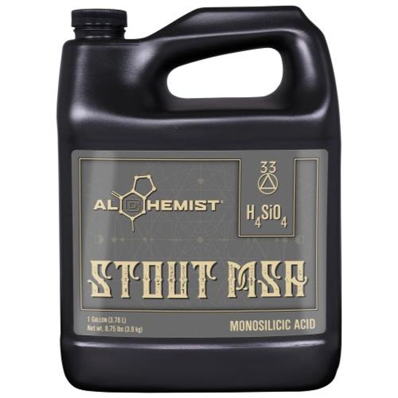 Alchemist Stout MSA 1 Gal
