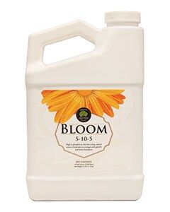 Age Old Bloom (5-10-5) 32oz