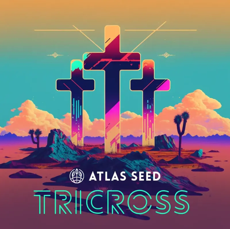 Tricross 5 pk