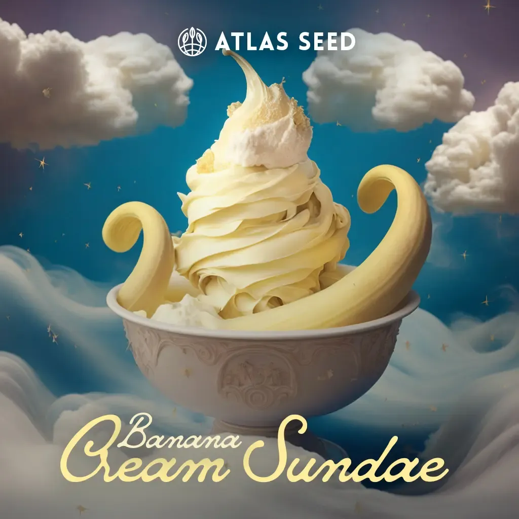 Banana Cream Sundae