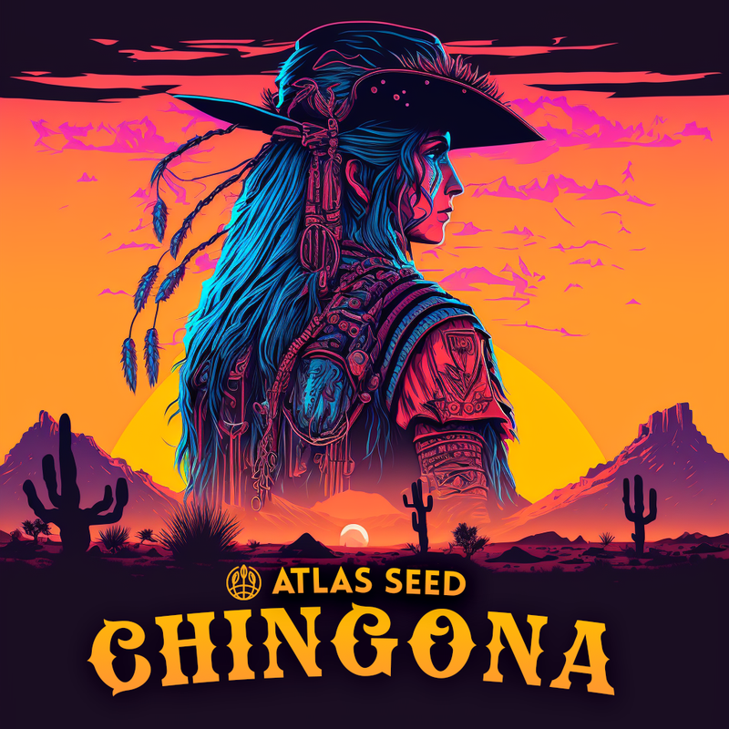 Chingona 5 pk