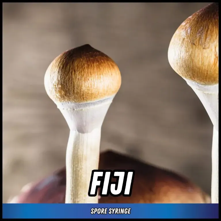Fiji