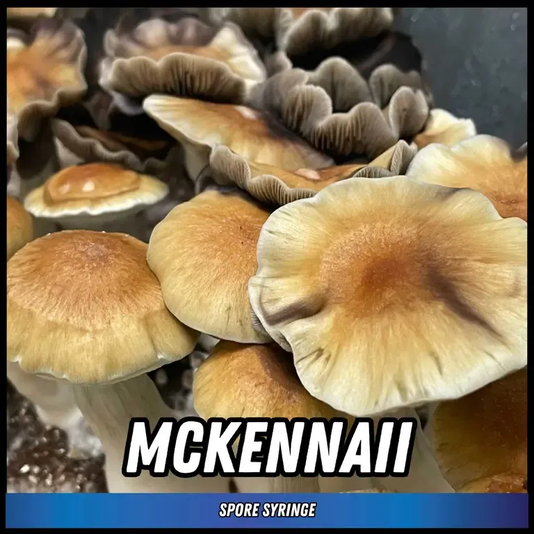 McKennaii
