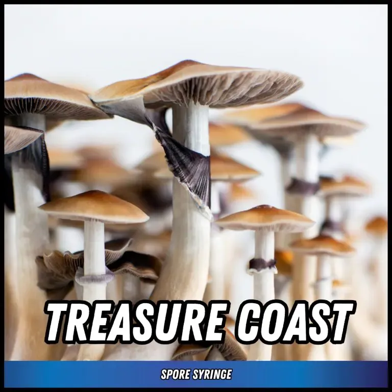 Treasure Coast