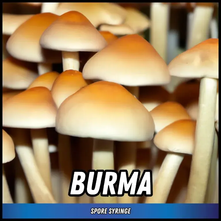 Burma