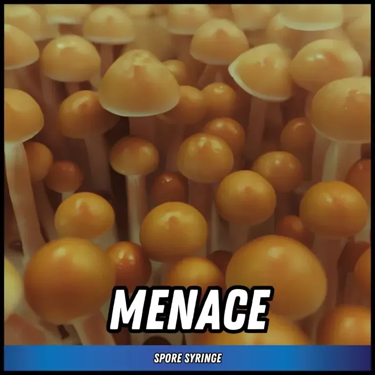 Menace