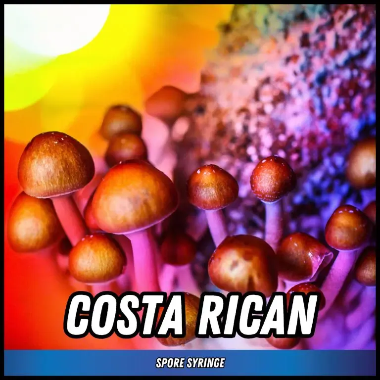 Costa Rican