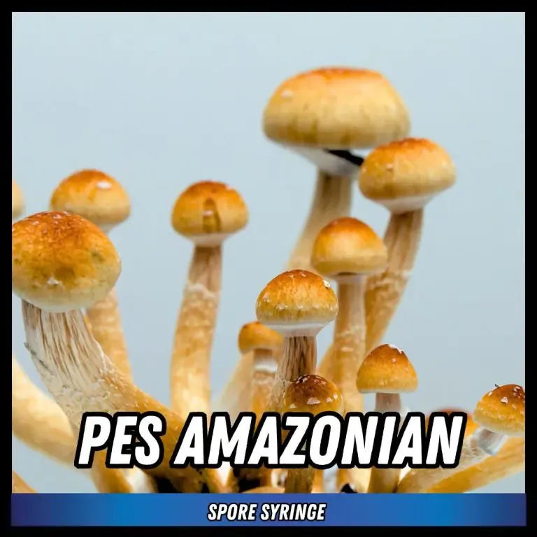 PES Amazonian