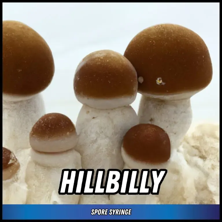 HillBilly