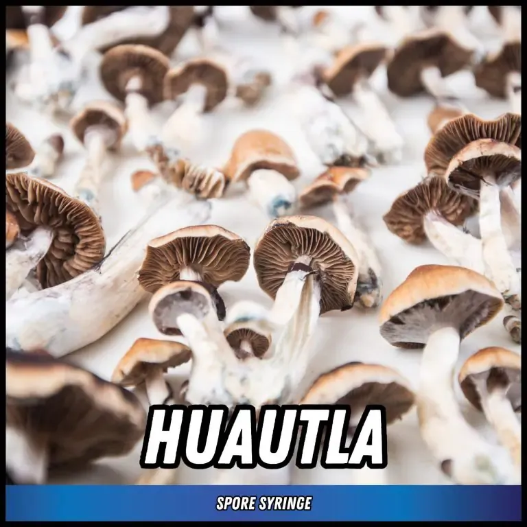 Huautla