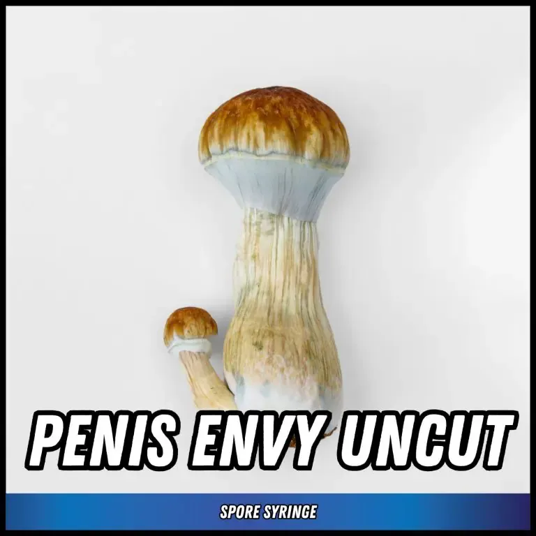 Penis Envy Unct