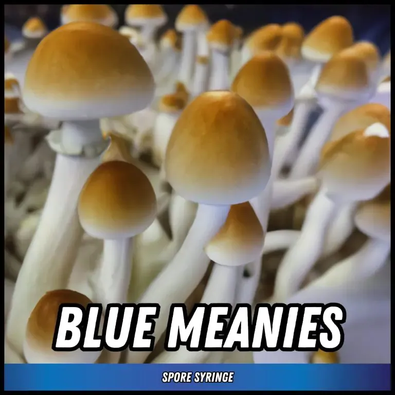 Blue Meanies