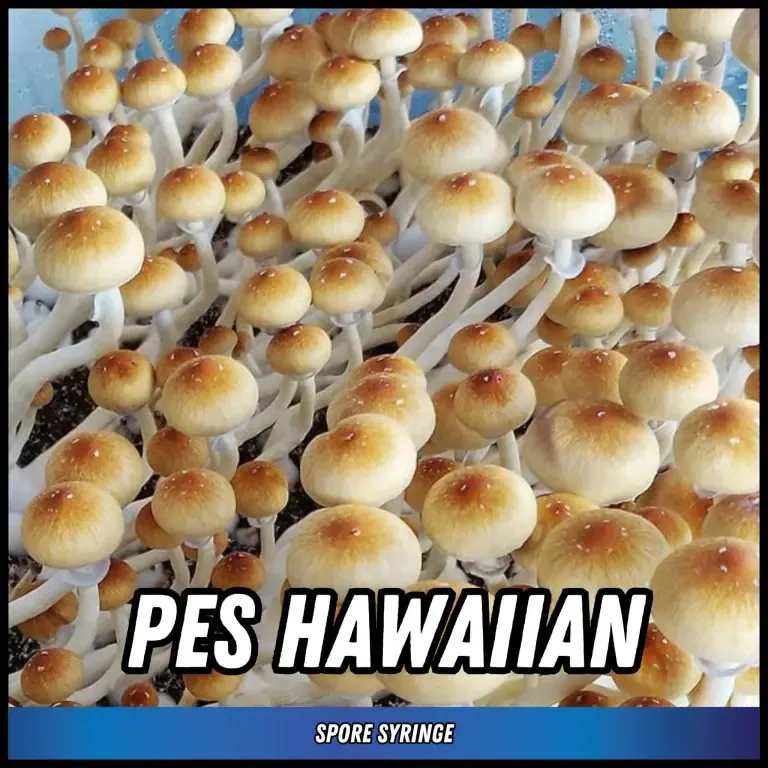 PES Hawaiian