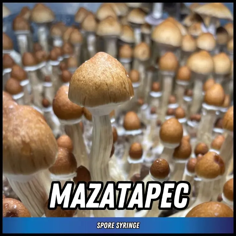 Mazatapec